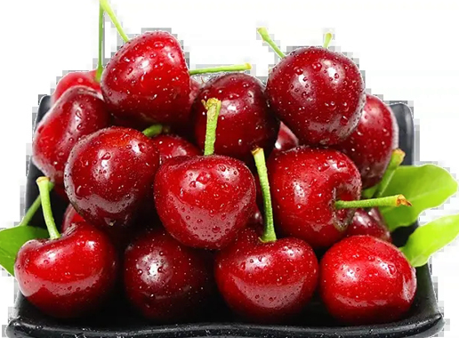 香港到大陸物流公司：車?yán)遄舆M口的運輸流程介紹