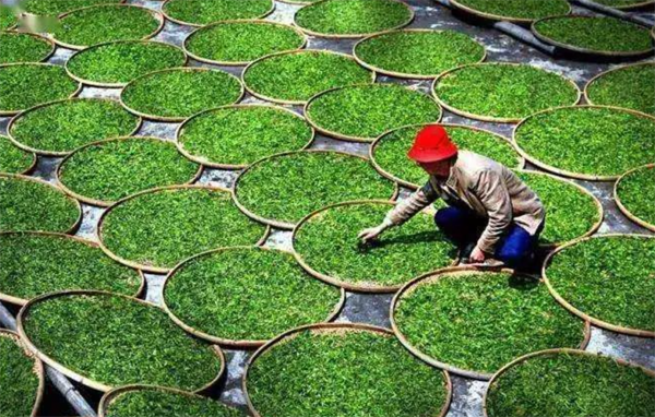 1684137916198490.png 微信圖片_20230515160305.png