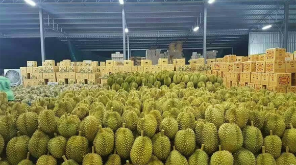 1691055009104134.png 微信圖片_20230803172914.png