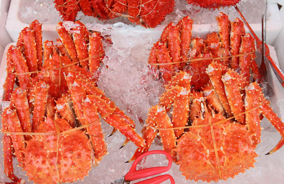 1699948723151827.jpg 256.jpg