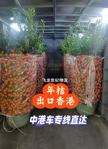 1706757142768923.jpg 微信圖片_20240124151507副本.jpg