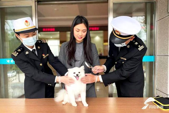 攜帶寵物出境到香港需要辦理哪些手續？