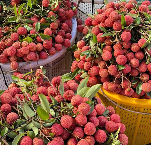 1752570206192818.jpg c678bc3e3e9c7f8754e196ebc06b32f.jpg