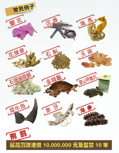 旅客進出香港 這些物品不可帶出入境