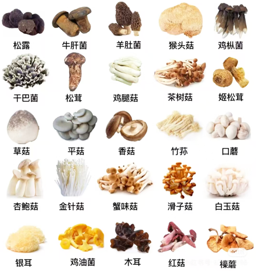 1761204381878162.png 微信圖片_2025-10-23_152449_426.png